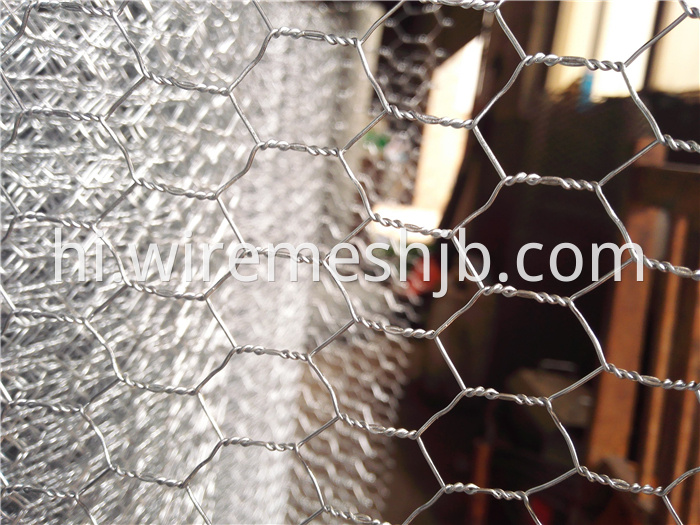 Hexagonal Wire Fence